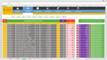 Load image into Gallery viewer, FALSE