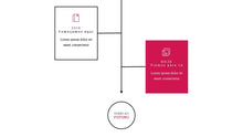 Load image into Gallery viewer, Apresentação Design Biz