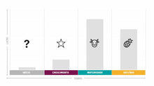 Load image into Gallery viewer, Apresentação Matriz BCG em Powerpoint