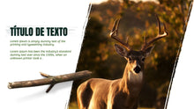 Load image into Gallery viewer, Apresentação de Animal em Powerpoint