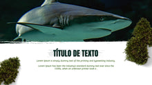 Load image into Gallery viewer, Apresentação de Animal em Powerpoint