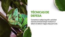 Load image into Gallery viewer, Apresentação com tema Natureza